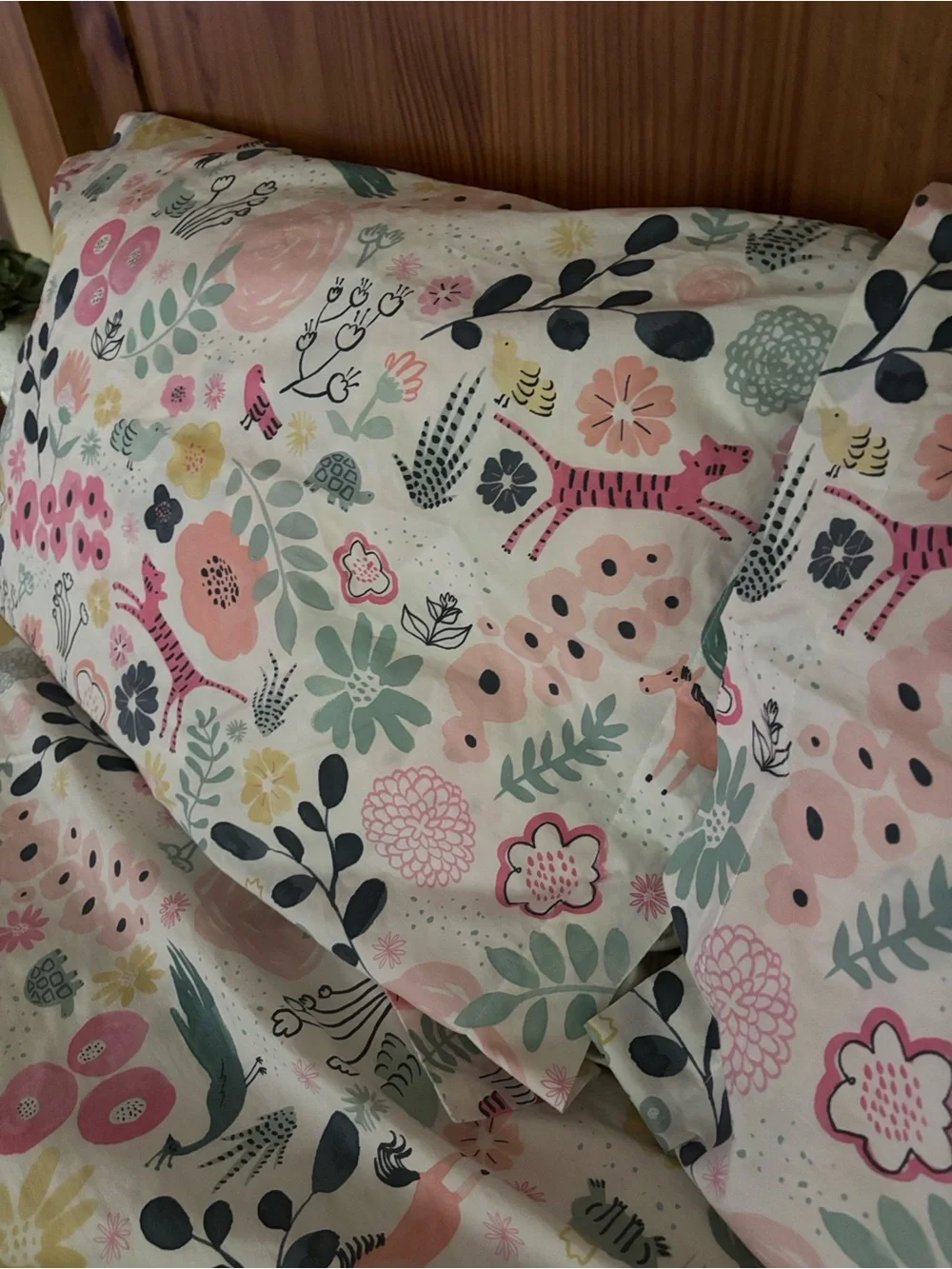 Pottery Barn Sasha’s Garden Organic Cotton Duvet Cover & 2 Shams Full/Queen